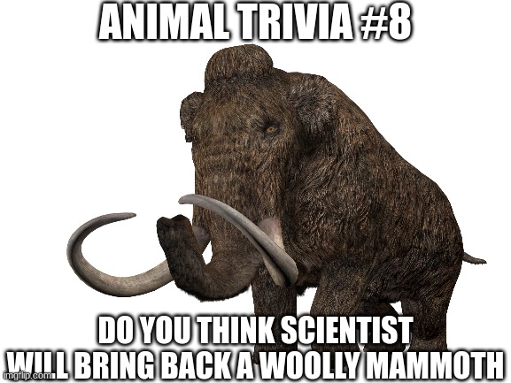 last one | ANIMAL TRIVIA #8; DO YOU THINK SCIENTIST WILL BRING BACK A WOOLLY MAMMOTH | made w/ Imgflip meme maker
