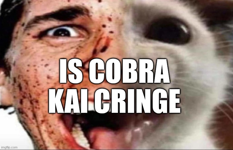 american psycho cat | IS COBRA KAI CRINGE | image tagged in american psycho cat | made w/ Imgflip meme maker