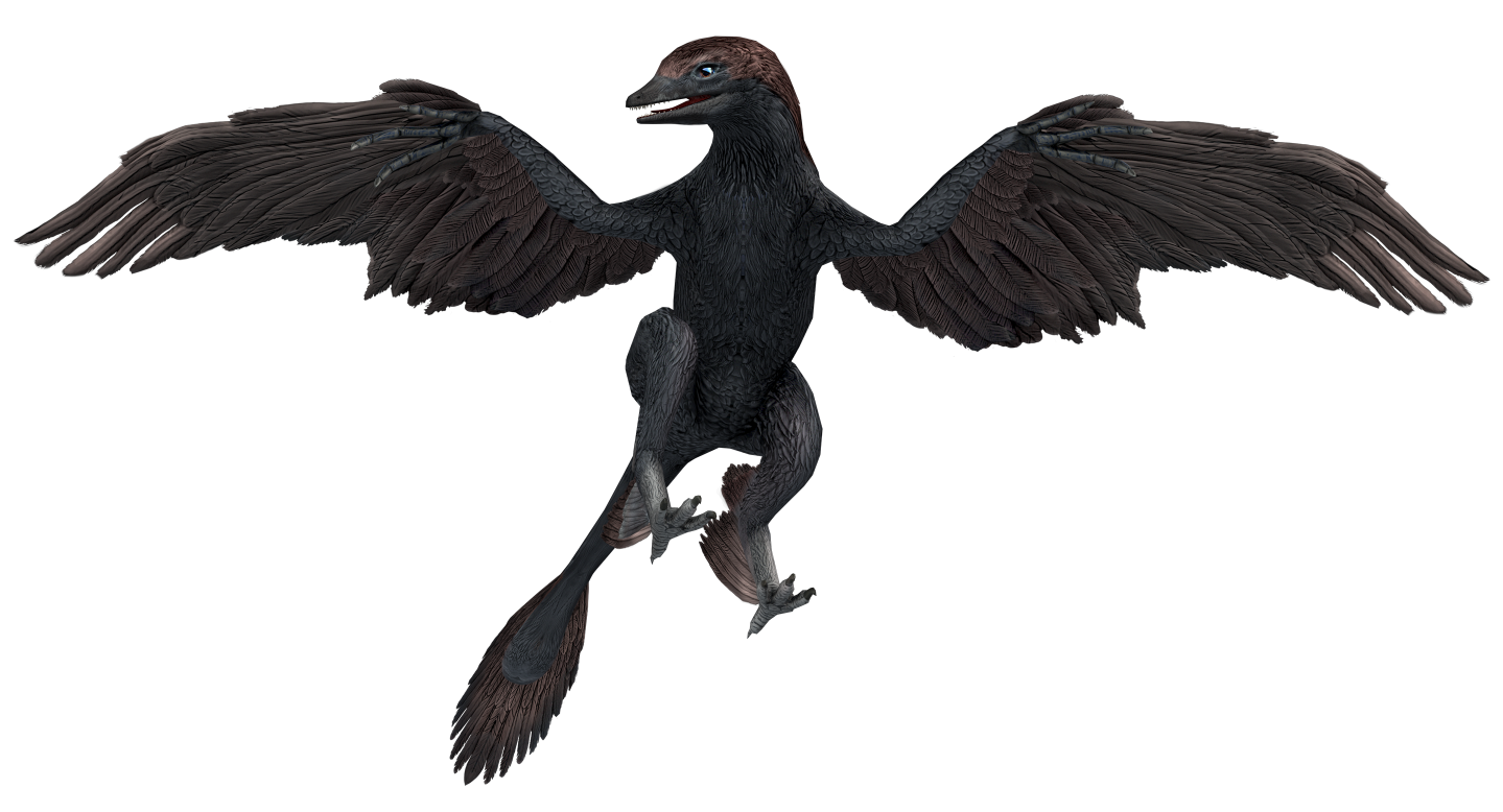 Microraptor (JWA Design) Blank Meme Template