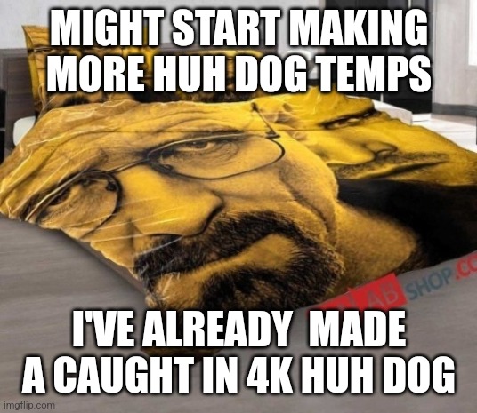 Breaking Bed | MIGHT START MAKING MORE HUH DOG TEMPS; I'VE ALREADY  MADE A CAUGHT IN 4K HUH DOG | image tagged in breaking bed | made w/ Imgflip meme maker