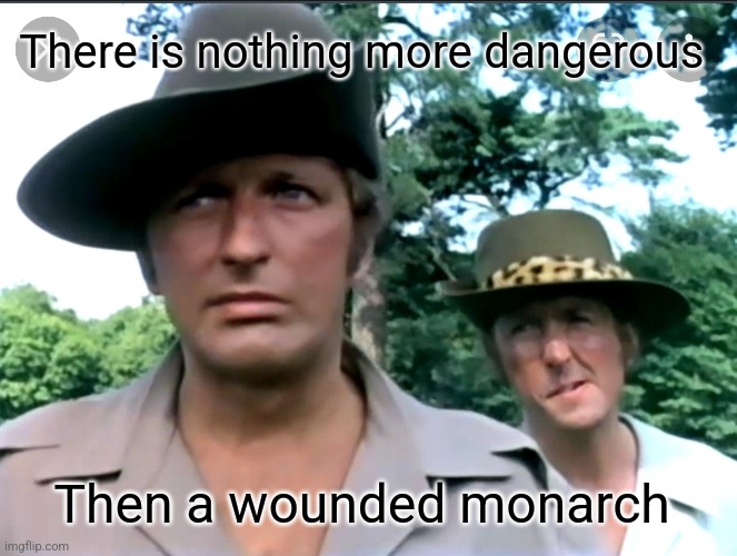 There is nothing more dangerous Then a wounded monarch | made w/ Imgflip meme maker