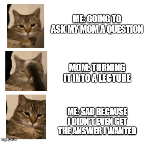 Cat meme | ME: GOING TO ASK MY MOM A QUESTION; MOM: TURNING IT INTO A LECTURE; ME: SAD BECAUSE I DIDN'T EVEN GET THE ANSWER I WANTED | image tagged in cats | made w/ Imgflip meme maker