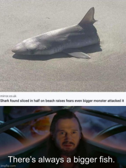 MAYBE RIPPED IN HALF BY THE KRAKEN? | image tagged in memes,shark,star wars | made w/ Imgflip meme maker