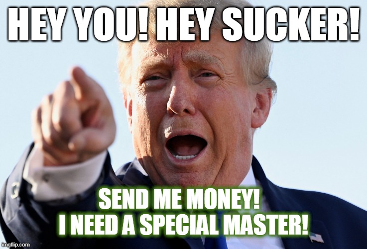Send Trump Money | HEY YOU! HEY SUCKER! SEND ME MONEY!  
I NEED A SPECIAL MASTER! | image tagged in trump needs money,blank red maga hat,donald trump | made w/ Imgflip meme maker