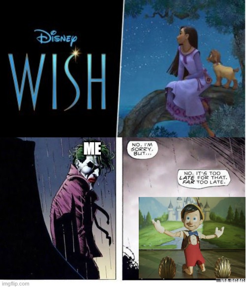 My Response To Wish. | ME | image tagged in disney | made w/ Imgflip meme maker