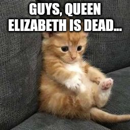 I don't know sad cat in shock meme. | GUYS, QUEEN ELIZABETH IS DEAD... | image tagged in i don't know sad cat in shock meme | made w/ Imgflip meme maker