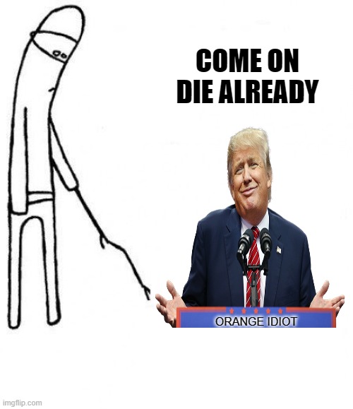 c'mon do something | COME ON
DIE ALREADY; ORANGE IDIOT | image tagged in c'mon do something,political meme | made w/ Imgflip meme maker