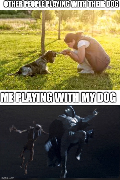 Dogs | OTHER PEOPLE PLAYING WITH THEIR DOG; ME PLAYING WITH MY DOG | image tagged in blank white template,dog,memes | made w/ Imgflip meme maker