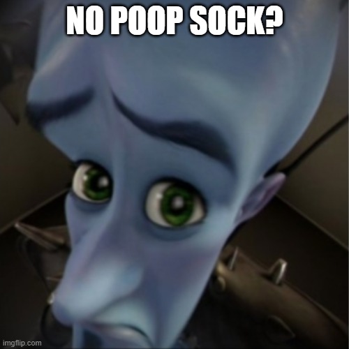 nO pOOP sOCK | NO POOP SOCK? | image tagged in megamind peeking | made w/ Imgflip meme maker