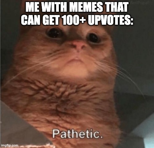 Pathetic Cat | ME WITH MEMES THAT CAN GET 100+ UPVOTES: | image tagged in pathetic cat | made w/ Imgflip meme maker