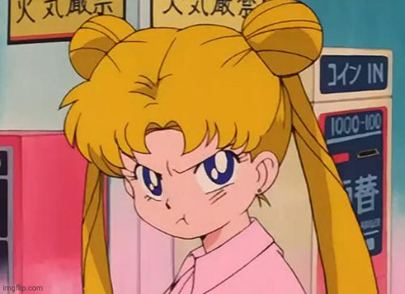 sailor moon | image tagged in sailor moon | made w/ Imgflip meme maker