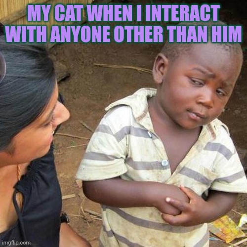 Jealousy is only a good look for pets | MY CAT WHEN I INTERACT WITH ANYONE OTHER THAN HIM | image tagged in memes,third world skeptical kid,cats,cat,cute cat | made w/ Imgflip meme maker