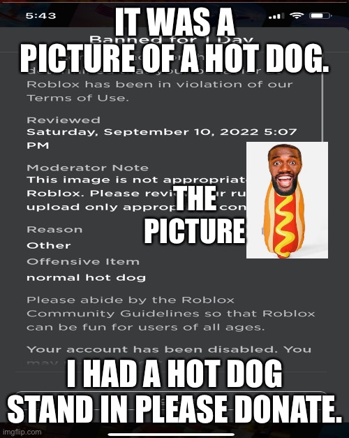 I made tons of other gamepasses with that picture I hope my account dosent get deleted | IT WAS A PICTURE OF A HOT DOG. THE PICTURE; I HAD A HOT DOG STAND IN PLEASE DONATE. | image tagged in i hate roblox,roblox,gaming,bruh,i hate games,roblox sucks | made w/ Imgflip meme maker