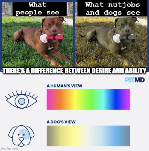 Difference in what dogs, humans and the insane can see | THERE'S A DIFFERENCE BETWEEN DESIRE AND ABILITY | image tagged in dogs humans color-blindness sanity viewpoint perception,psychology,insanity,perception,ability,humans | made w/ Imgflip meme maker