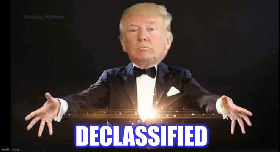 Trump magician | DECLASSIFIED | image tagged in trump magician | made w/ Imgflip meme maker