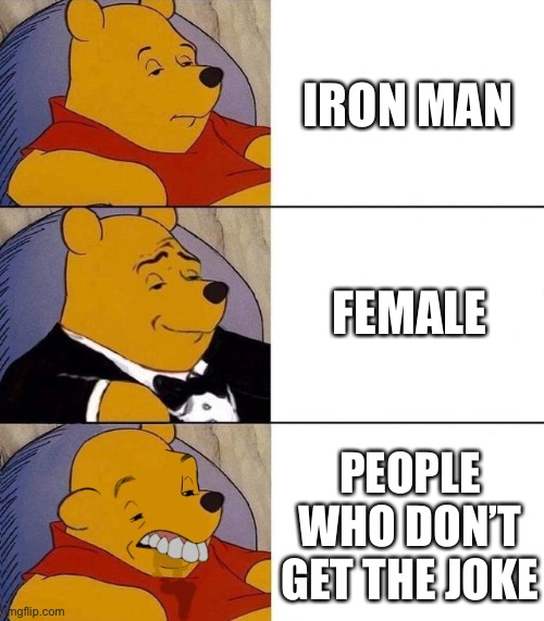 Iron man female | IRON MAN; FEMALE; PEOPLE WHO DON’T GET THE JOKE | image tagged in best better blurst | made w/ Imgflip meme maker