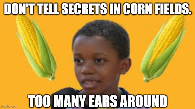 Corny | DON'T TELL SECRETS IN CORN FIELDS. TOO MANY EARS AROUND | image tagged in corn kid | made w/ Imgflip meme maker