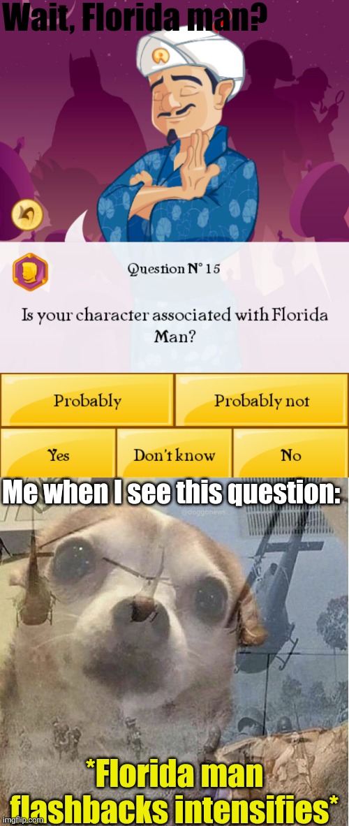What? Florida man? | Wait, Florida man? Me when I see this question:; *Florida man flashbacks intensifies* | image tagged in ptsd chihuahua,memes,florida man,funny | made w/ Imgflip meme maker