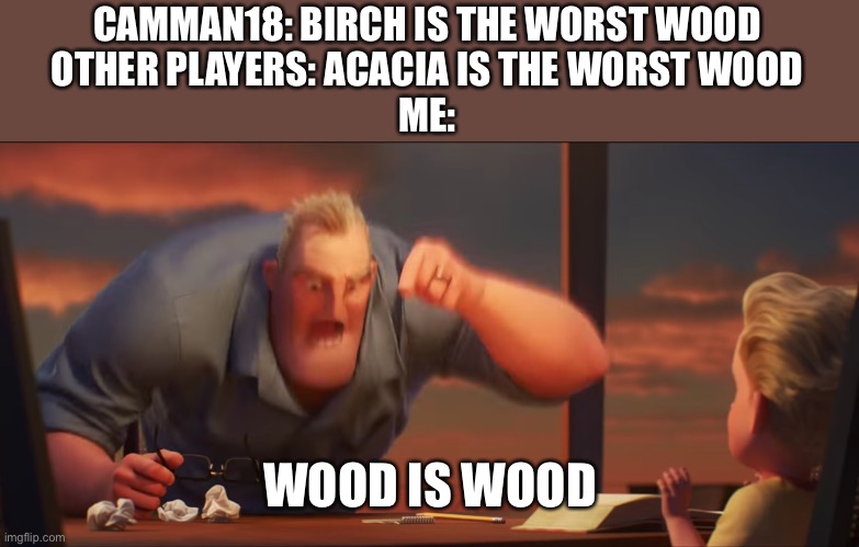 Like I’m not wrong | CAMMAN18: BIRCH IS THE WORST WOOD
OTHER PLAYERS: ACACIA IS THE WORST WOOD
ME:; WOOD IS WOOD | image tagged in math is math | made w/ Imgflip meme maker