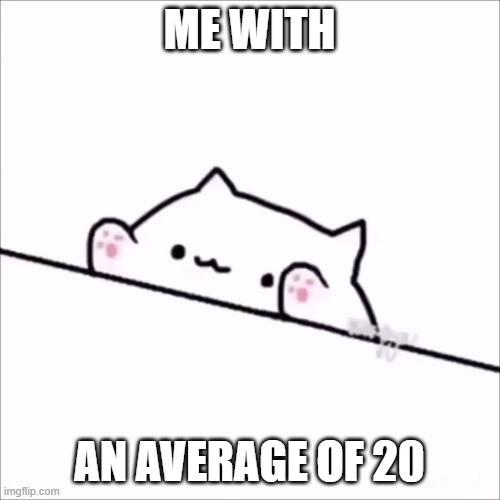 bongo cat | ME WITH AN AVERAGE OF 20 | image tagged in bongo cat | made w/ Imgflip meme maker