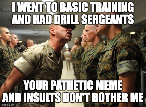 Your pathetic meme and insults | I WENT TO BASIC TRAINING AND HAD DRILL SERGEANTS; YOUR PATHETIC MEME AND INSULTS DON'T BOTHER ME | image tagged in drill sergeant,boot camp | made w/ Imgflip meme maker