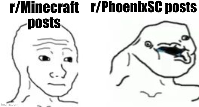 r/Minecraft | r/Minecraft posts; r/PhoenixSC posts | image tagged in dumb wojak,minecraft,memes,minecraft memes,funny,reddit | made w/ Imgflip meme maker