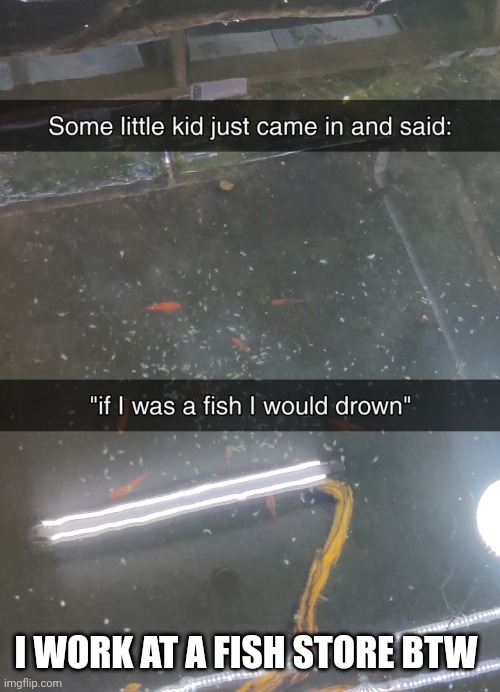 I WORK AT A FISH STORE BTW | made w/ Imgflip meme maker