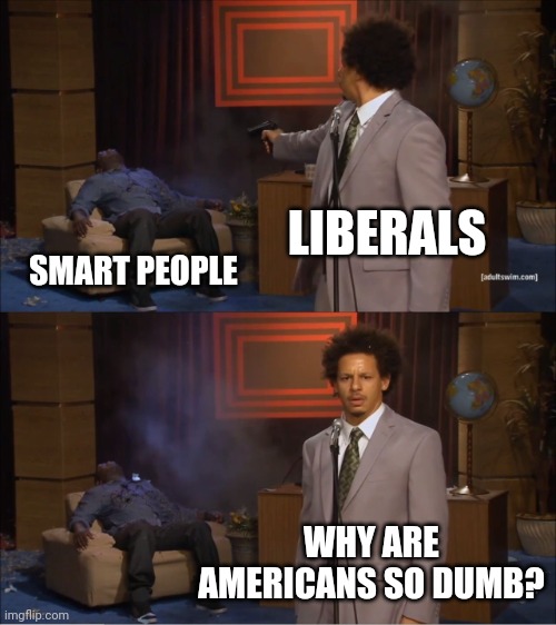 Who Killed Hannibal |  LIBERALS; SMART PEOPLE; WHY ARE AMERICANS SO DUMB? | image tagged in memes,who killed hannibal | made w/ Imgflip meme maker