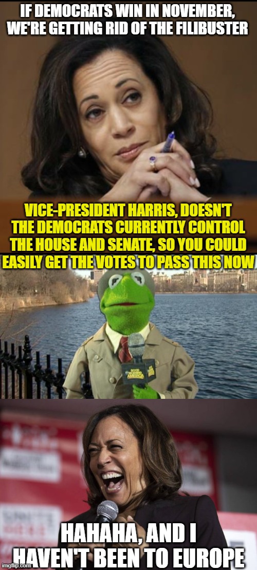IF DEMOCRATS WIN IN NOVEMBER, WE'RE GETTING RID OF THE FILIBUSTER; VICE-PRESIDENT HARRIS, DOESN'T THE DEMOCRATS CURRENTLY CONTROL THE HOUSE AND SENATE, SO YOU COULD EASILY GET THE VOTES TO PASS THIS NOW; HAHAHA, AND I HAVEN'T BEEN TO EUROPE | image tagged in kamala harris,kermit news report,kamala laughing | made w/ Imgflip meme maker