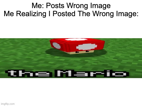 Whoops | Me: Posts Wrong Image
Me Realizing I Posted The Wrong Image: | image tagged in blank white template,mario | made w/ Imgflip meme maker
