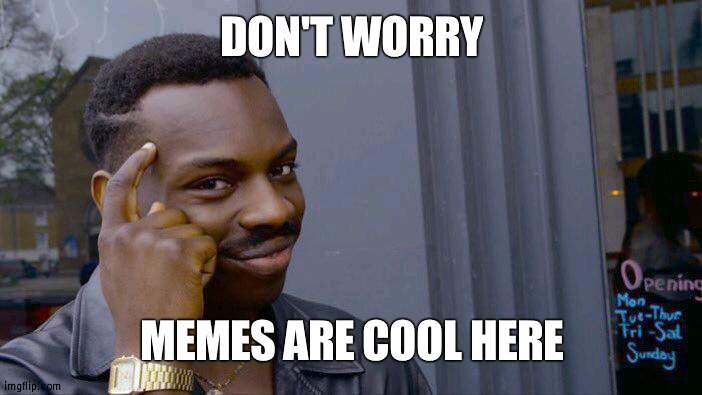 Shockingly fine under global mods | DON'T WORRY; MEMES ARE COOL HERE | image tagged in memes,roll safe think about it | made w/ Imgflip meme maker