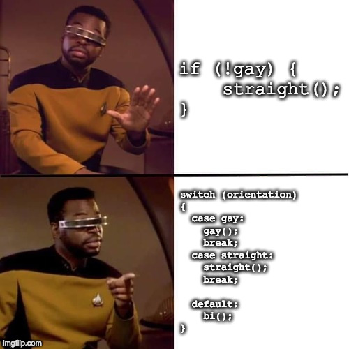 Geordi Drake | if (!gay) {
    straight();
}; switch (orientation)
{
  case gay:
    gay();
    break;

  case straight:
    straight();
    break;
  
  default:
    bi();
} | image tagged in geordi drake | made w/ Imgflip meme maker