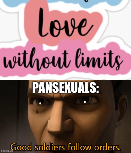 pansexuals are cool <3 | PANSEXUALS: | image tagged in good soldiers follow orders,pansexual | made w/ Imgflip meme maker