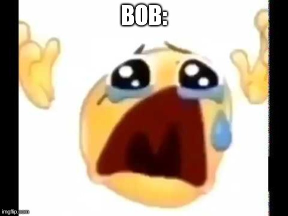 cursed crying emoji | BOB: | image tagged in cursed crying emoji | made w/ Imgflip meme maker