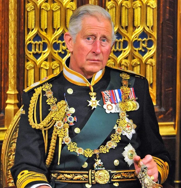 King Charles III Approves Blank Meme Template