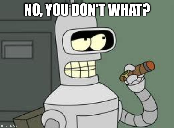 Bender | NO, YOU DON'T WHAT? | image tagged in bender | made w/ Imgflip meme maker