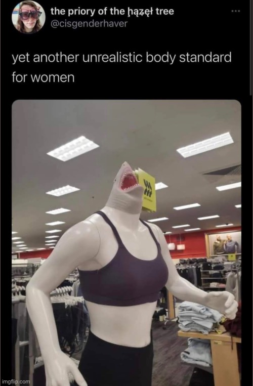 I can’t believe that they want women to have bodies like this it’s just too hot and attractive to be real ong | made w/ Imgflip meme maker