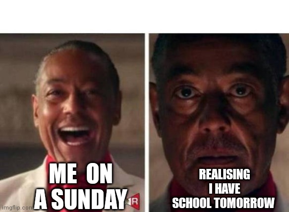 gus fring |  REALISING I HAVE SCHOOL TOMORROW; ME  ON A SUNDAY | image tagged in gus fring | made w/ Imgflip meme maker