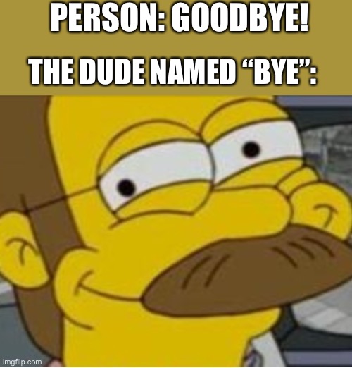 Bye is good | PERSON: GOODBYE! THE DUDE NAMED “BYE”: | image tagged in ned flanders mischievous smile,goodbye,the simpsons | made w/ Imgflip meme maker
