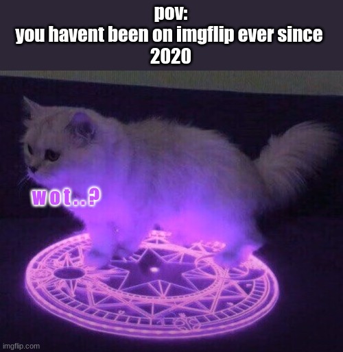 H e l l o...y a l l =] | pov:
you havent been on imgflip ever since 
2020; w o t . . ? | image tagged in demon kitty | made w/ Imgflip meme maker