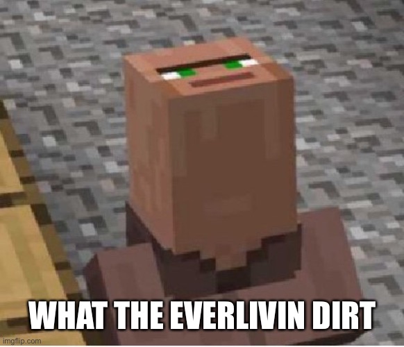 What the f | WHAT THE EVERLIVIN DIRT | image tagged in what the f | made w/ Imgflip meme maker