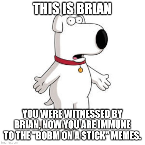 Family Guy Brian Meme | THIS IS BRIAN; YOU WERE WITNESSED BY BRIAN, NOW YOU ARE IMMUNE TO THE "BOBM ON A STICK" MEMES. | image tagged in memes,family guy brian | made w/ Imgflip meme maker