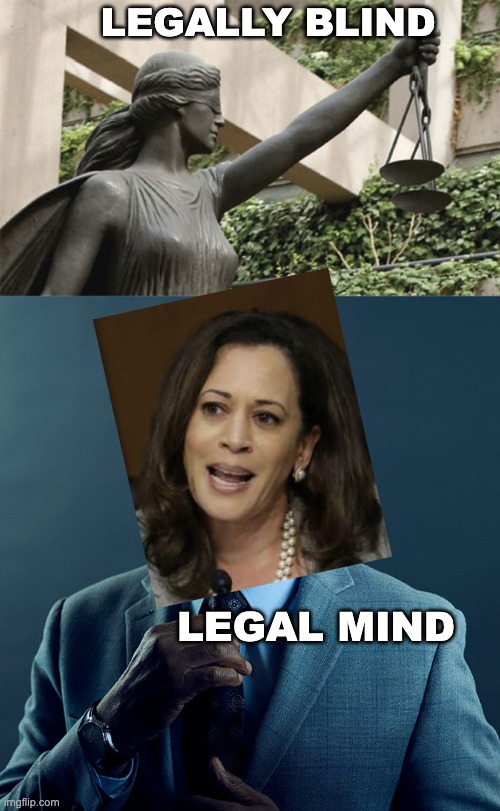 LEGALLY BLIND LEGAL MIND | image tagged in blind justice,gus fring we are not the same | made w/ Imgflip meme maker