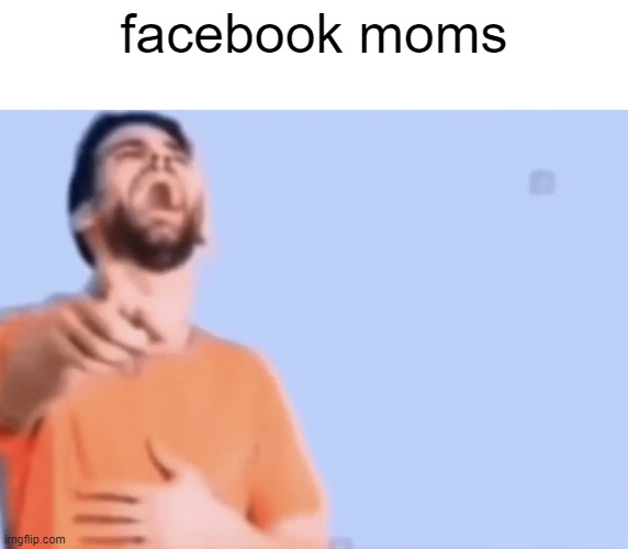 Pointing and laughing | facebook moms | image tagged in pointing and laughing | made w/ Imgflip meme maker