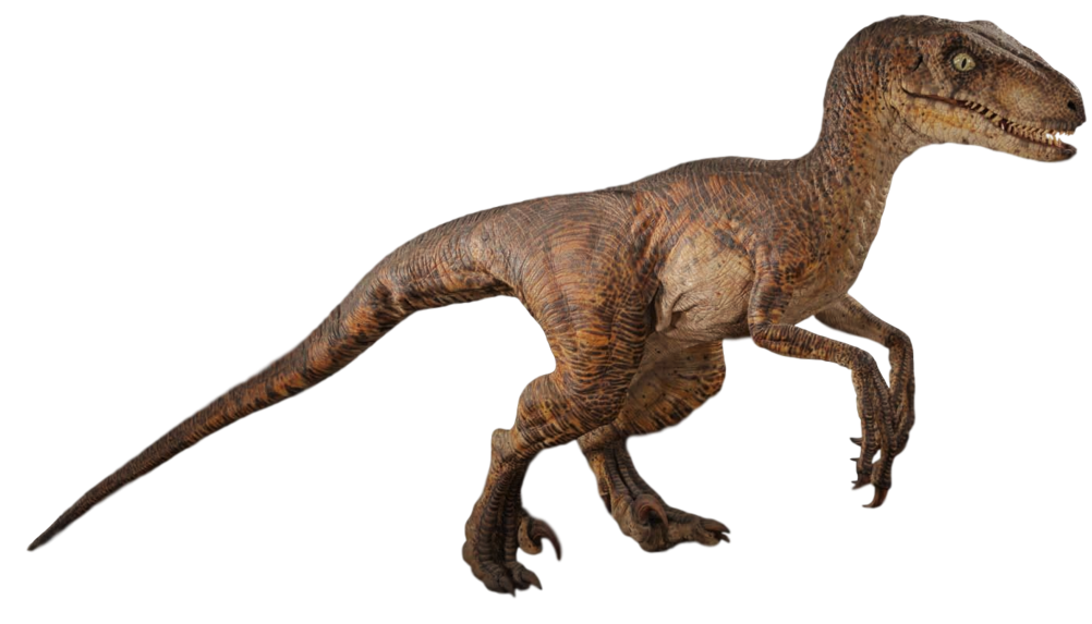 Velociraptor 2 Blank Meme Template