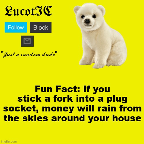 N0 C@P GUYZ!!!!1!!1111!!!!!!!1!!!11!11!11!!! | Fun Fact: If you stick a fork into a plug socket, money will rain from the skies around your house | image tagged in lucotic polar bear announcement template | made w/ Imgflip meme maker