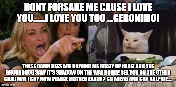 DONT FORSAKE ME CAUSE I LOVE YOU......I LOVE YOU TOO ...GERONIMO! THESE DAMN BEES ARE DRIVING ME CRAZY UP HERE! AND THE GROUNDHOG SAW IT'S S | made w/ Imgflip meme maker