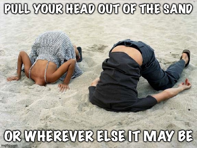 Heads in Sand | PULL YOUR HEAD OUT OF THE SAND OR WHEREVER ELSE IT MAY BE | image tagged in heads in sand | made w/ Imgflip meme maker