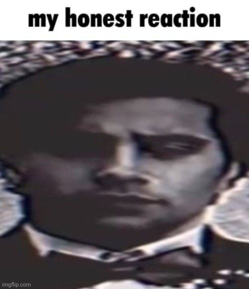 my honest reaction | image tagged in my honest reaction | made w/ Imgflip meme maker