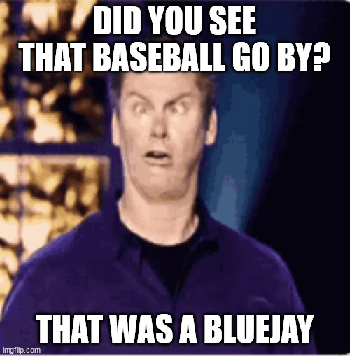 DID YOU SEE THAT BASEBALL GO BY? THAT WAS A BLUEJAY | made w/ Imgflip meme maker